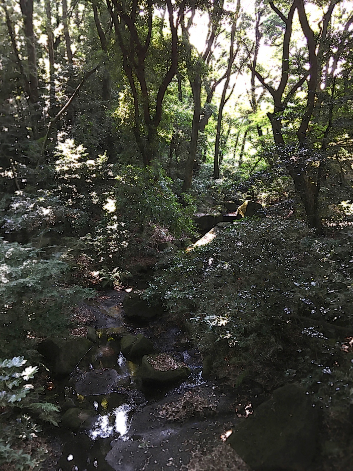 �C�����ƍ��F