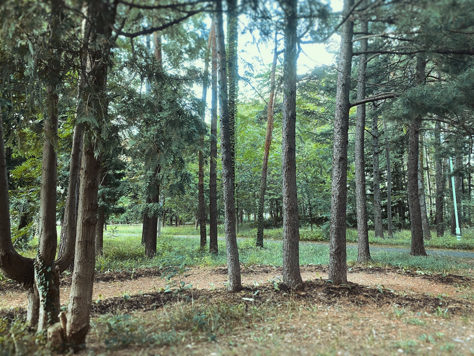 �~�j�`���A�B�e